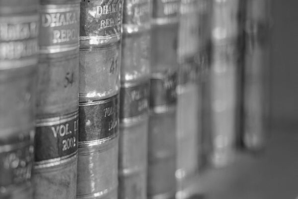 The Domestic Violence Process and Immediate Consequences: Part 3